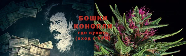 прущая мука Арсеньев