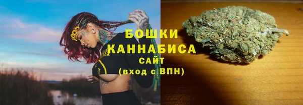 гашик Аркадак