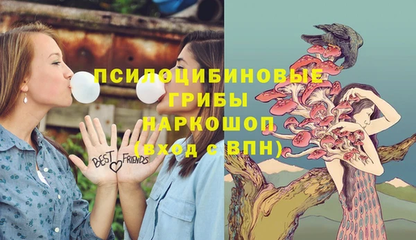 гашик Аркадак