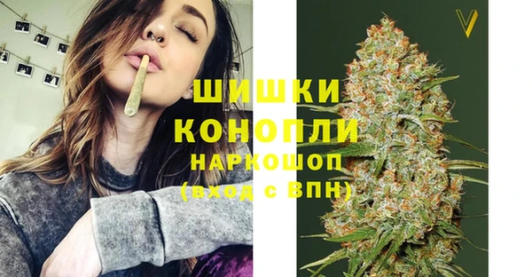 гашик Аркадак