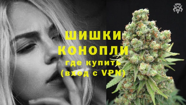 гашик Аркадак
