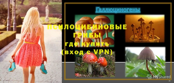 бошки Алзамай