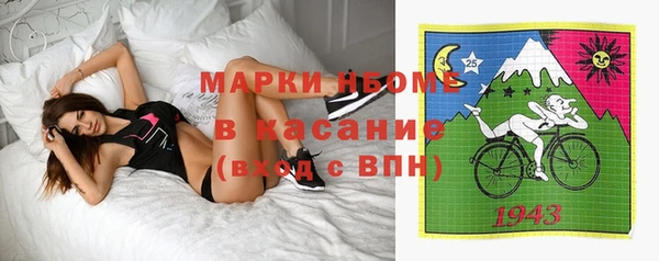 гашик Аркадак